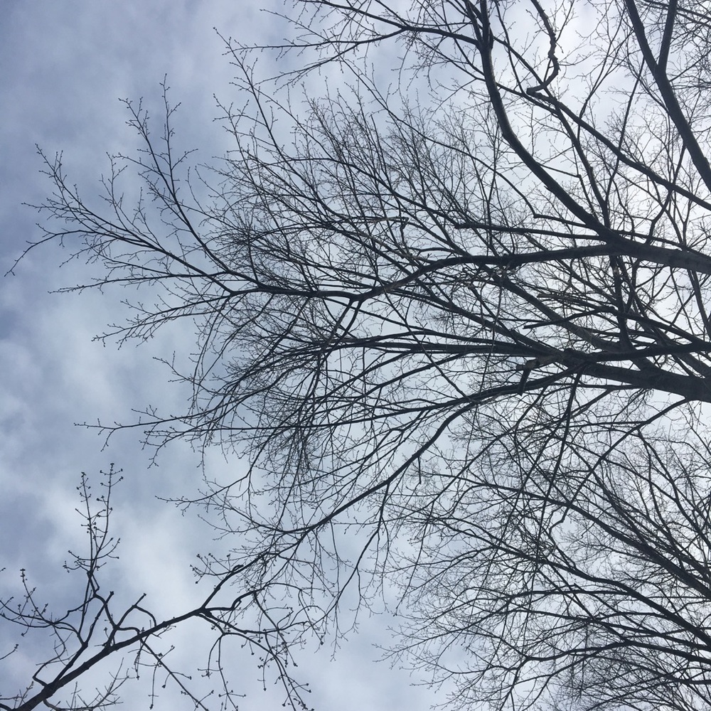 Meet your Posher, Reilly